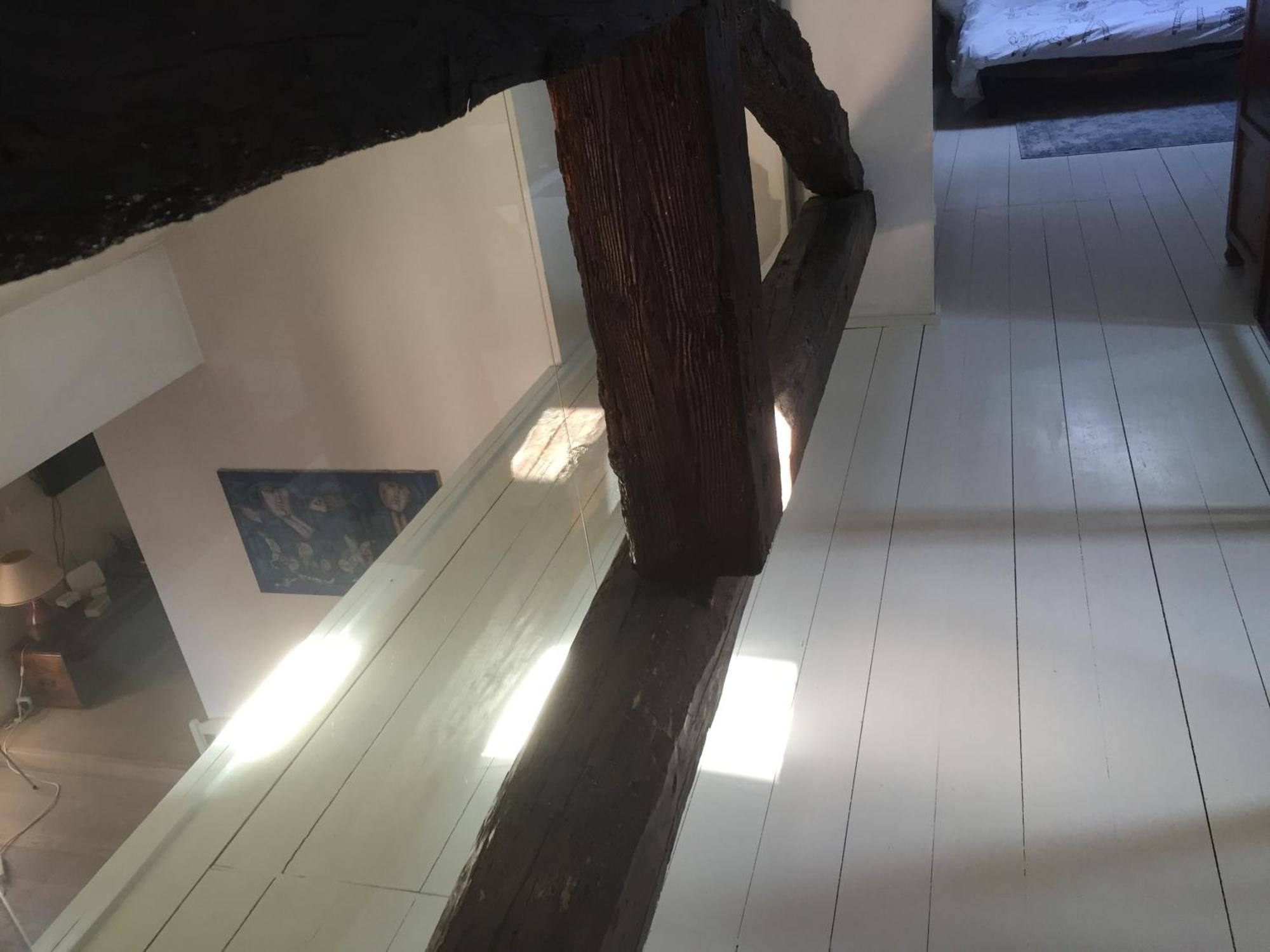 La Finestra Apartment Bologna Luaran gambar